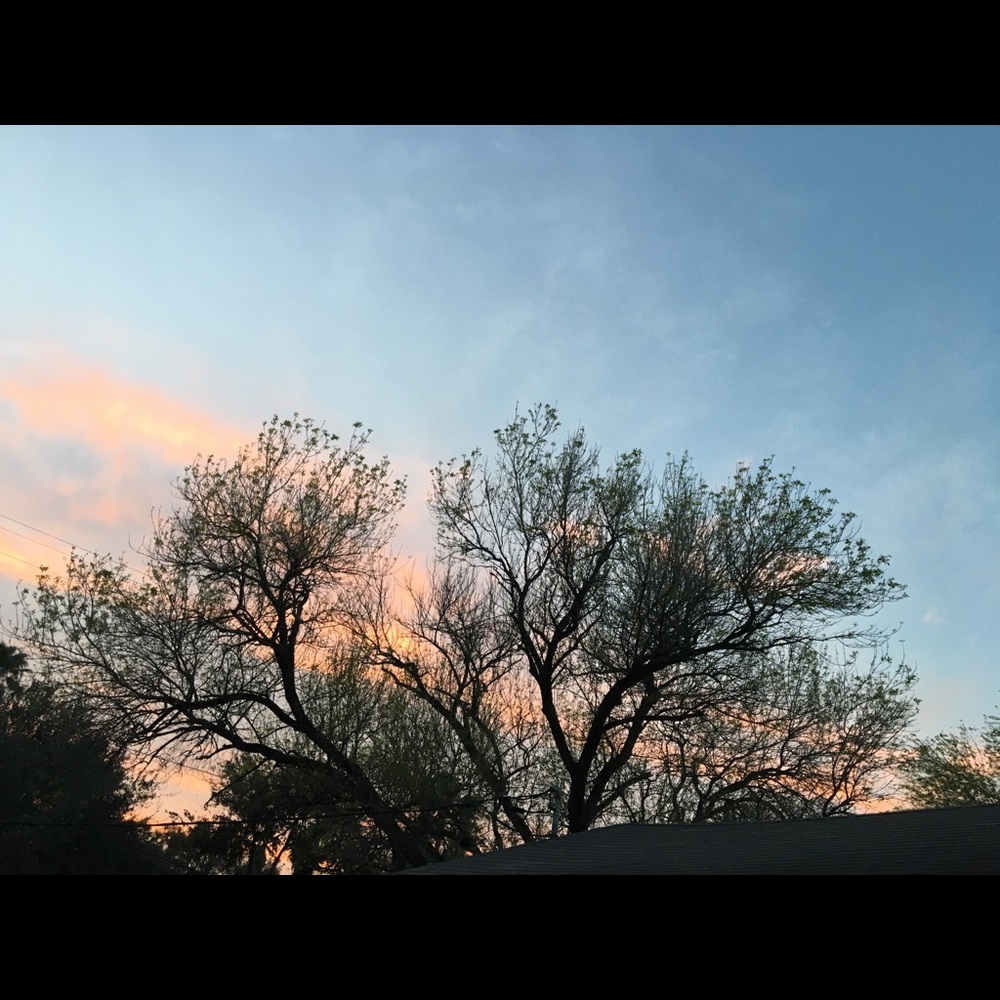 Meet your Posher, Mia